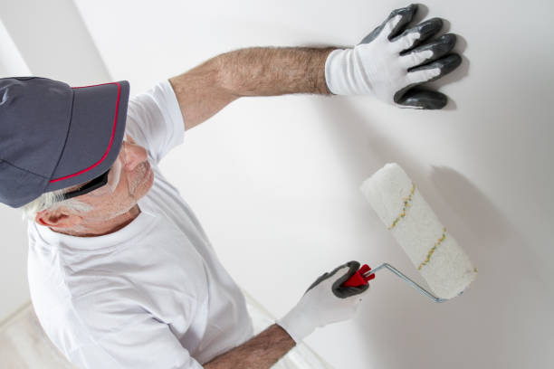 Best Mold Prevention Services  in New Vienna, OH
