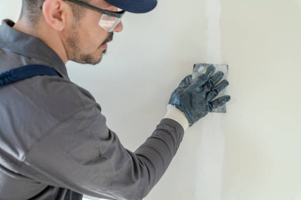 Best Attic Mold Removal  in New Vienna, OH