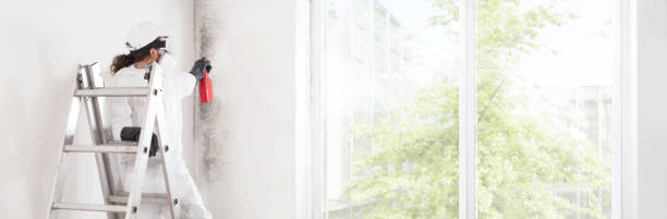 Best Dehumidification Services  in New Vienna, OH